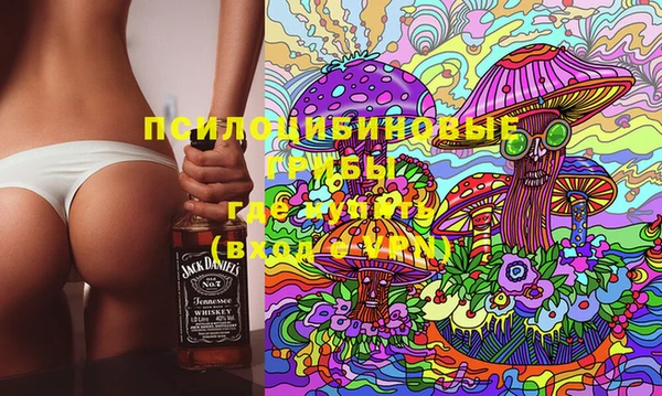 a pvp Володарск